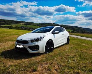 Kia ceed / Ceed Gebrauchtwagen