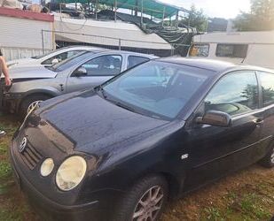 VW Polo Gebrauchtwagen