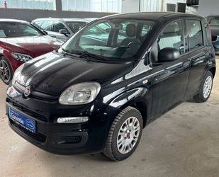 Fiat Panda Gebrauchtwagen