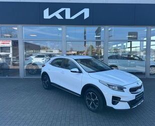 Kia XCeed Gebrauchtwagen