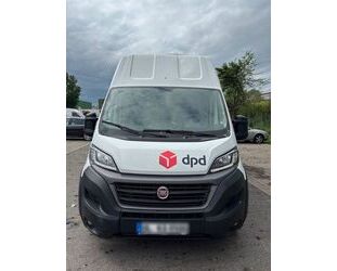 Fiat Ducato Gebrauchtwagen
