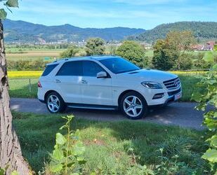 Mercedes-Benz ML 350 Gebrauchtwagen