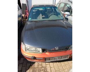 Honda Accord Gebrauchtwagen