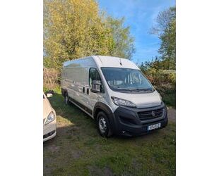 Fiat Ducato Gebrauchtwagen