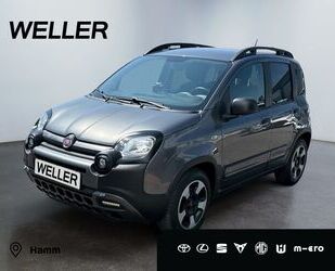 Fiat Panda Gebrauchtwagen