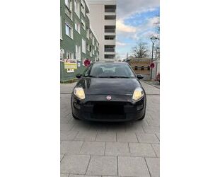 Fiat Punto Gebrauchtwagen