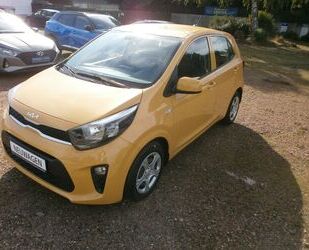 Kia Picanto Gebrauchtwagen