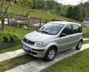 Fiat Panda Gebrauchtwagen