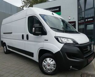 Fiat Ducato Gebrauchtwagen