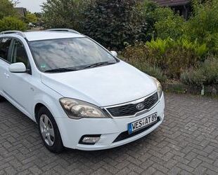 Kia ceed / Ceed Gebrauchtwagen