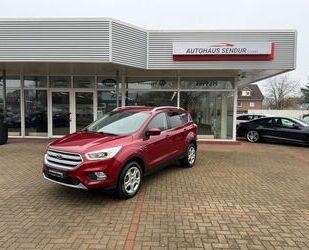 Ford Kuga Gebrauchtwagen