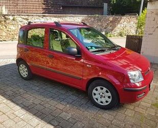 Fiat Panda Gebrauchtwagen