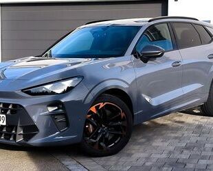 Cupra Terramar Gebrauchtwagen