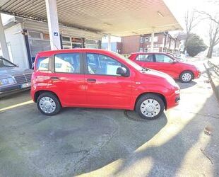 Fiat Panda Gebrauchtwagen