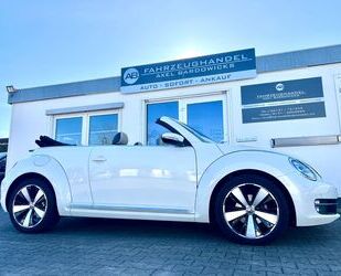 VW Beetle Gebrauchtwagen