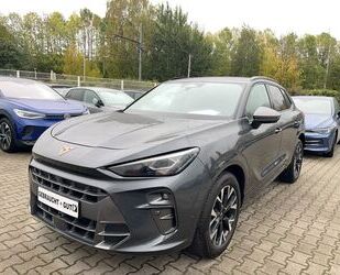 Cupra Terramar Gebrauchtwagen