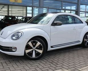 VW Beetle Gebrauchtwagen