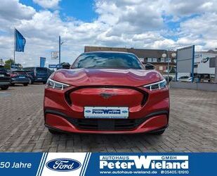 Ford Mustang Mach-E Gebrauchtwagen
