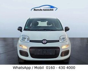 Fiat Panda Gebrauchtwagen