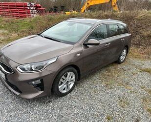 Kia ceed / Ceed Gebrauchtwagen