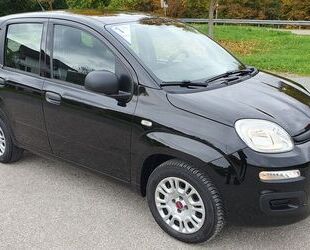 Fiat Panda Gebrauchtwagen
