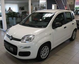 Fiat Panda Gebrauchtwagen
