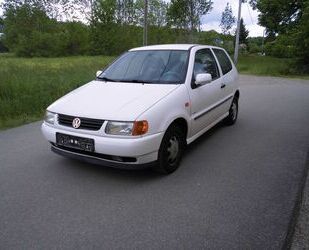 VW Polo Gebrauchtwagen