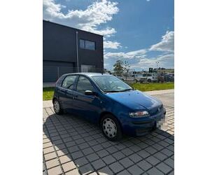 Fiat Punto Gebrauchtwagen