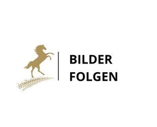 Mercedes-Benz GLA 220 Gebrauchtwagen