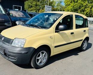 Fiat Panda Gebrauchtwagen