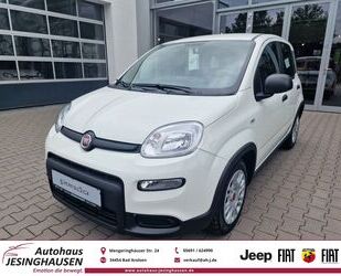 Fiat Panda Gebrauchtwagen