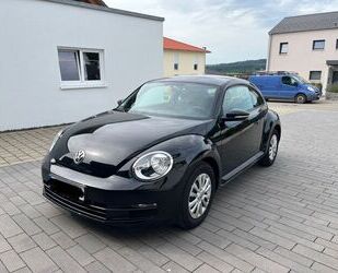 VW Beetle Gebrauchtwagen