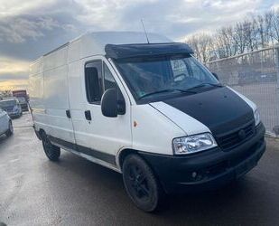 Fiat Ducato Gebrauchtwagen