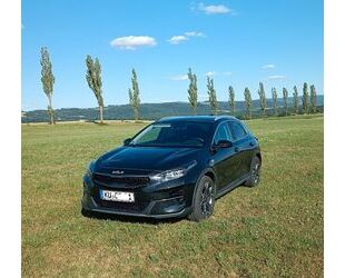 Kia XCeed Gebrauchtwagen