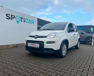 Fiat Panda Gebrauchtwagen