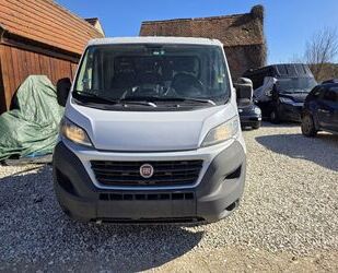 Fiat Ducato Gebrauchtwagen