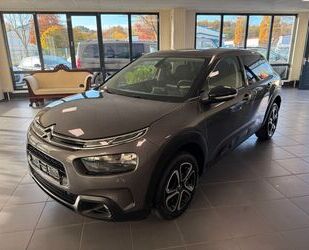 Citroen C4 Cactus Gebrauchtwagen