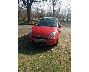 Fiat Punto Gebrauchtwagen