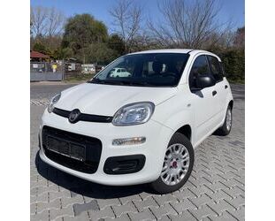 Fiat Panda Gebrauchtwagen