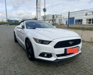 Ford Mustang Gebrauchtwagen