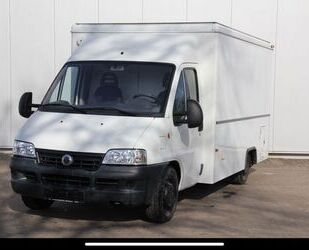 Fiat Ducato Gebrauchtwagen