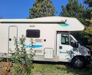 Fiat Ducato Gebrauchtwagen