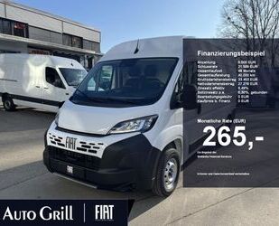 Fiat Ducato Gebrauchtwagen
