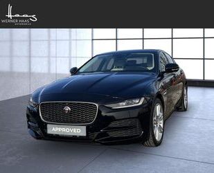 Jaguar XE Gebrauchtwagen