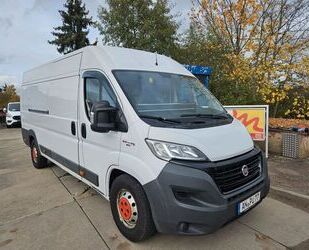 Fiat Ducato Gebrauchtwagen