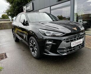 Cupra Terramar Gebrauchtwagen