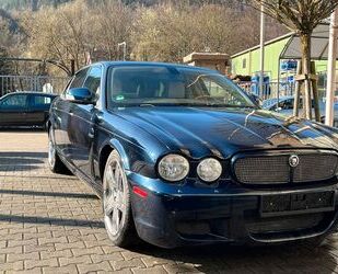 Jaguar XJ8 Gebrauchtwagen