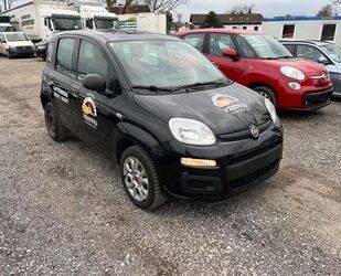 Fiat Panda Gebrauchtwagen