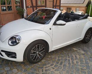 VW Beetle Gebrauchtwagen