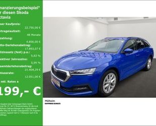 Skoda Octavia Gebrauchtwagen
